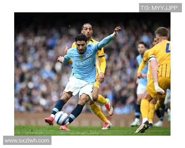 2018年英超足球明星阵容回顾及其赛季表现分析 2018年英超足球明星阵容回顾及其赛季表现分析