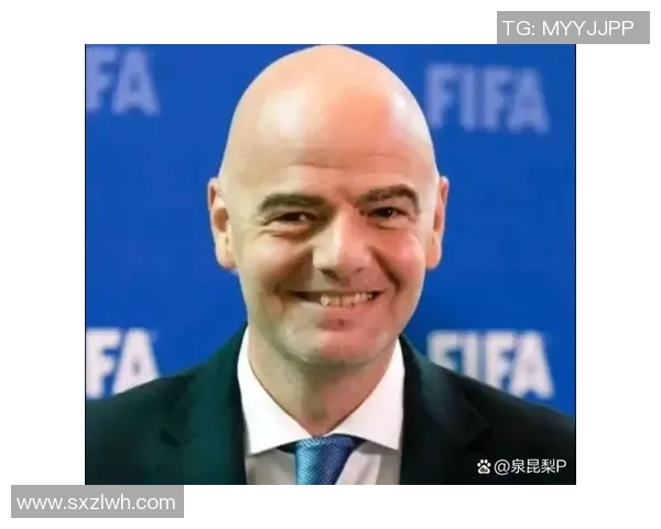 某足球大佬的传奇人生与职业生涯背后的故事与启示