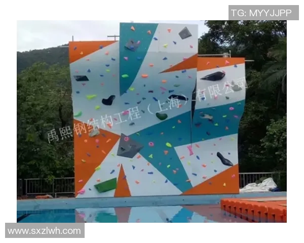 西安攀岩队心理素质分析与提升策略探讨之旅