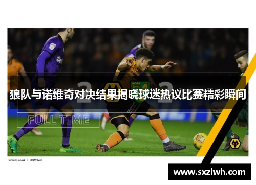 狼队与诺维奇对决结果揭晓球迷热议比赛精彩瞬间